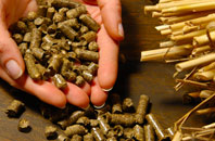 free Greeness biomass boiler quotes